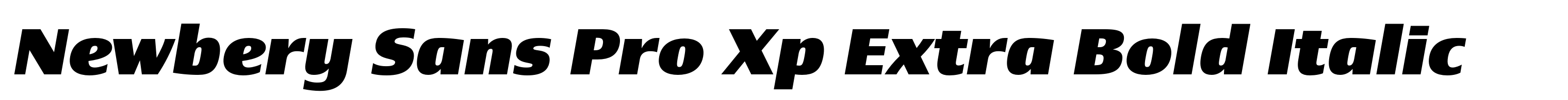 Newbery Sans Pro Xp Extra Bold Italic